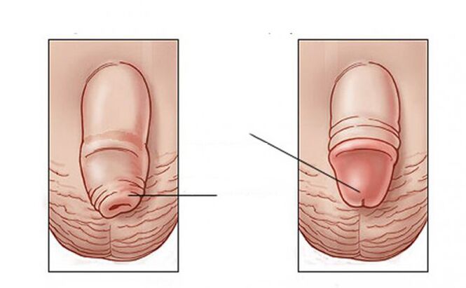 What task does the lubricant do